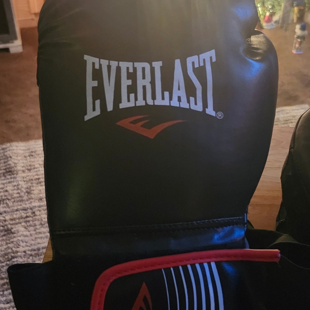 Everlast Black Boxing Gloves